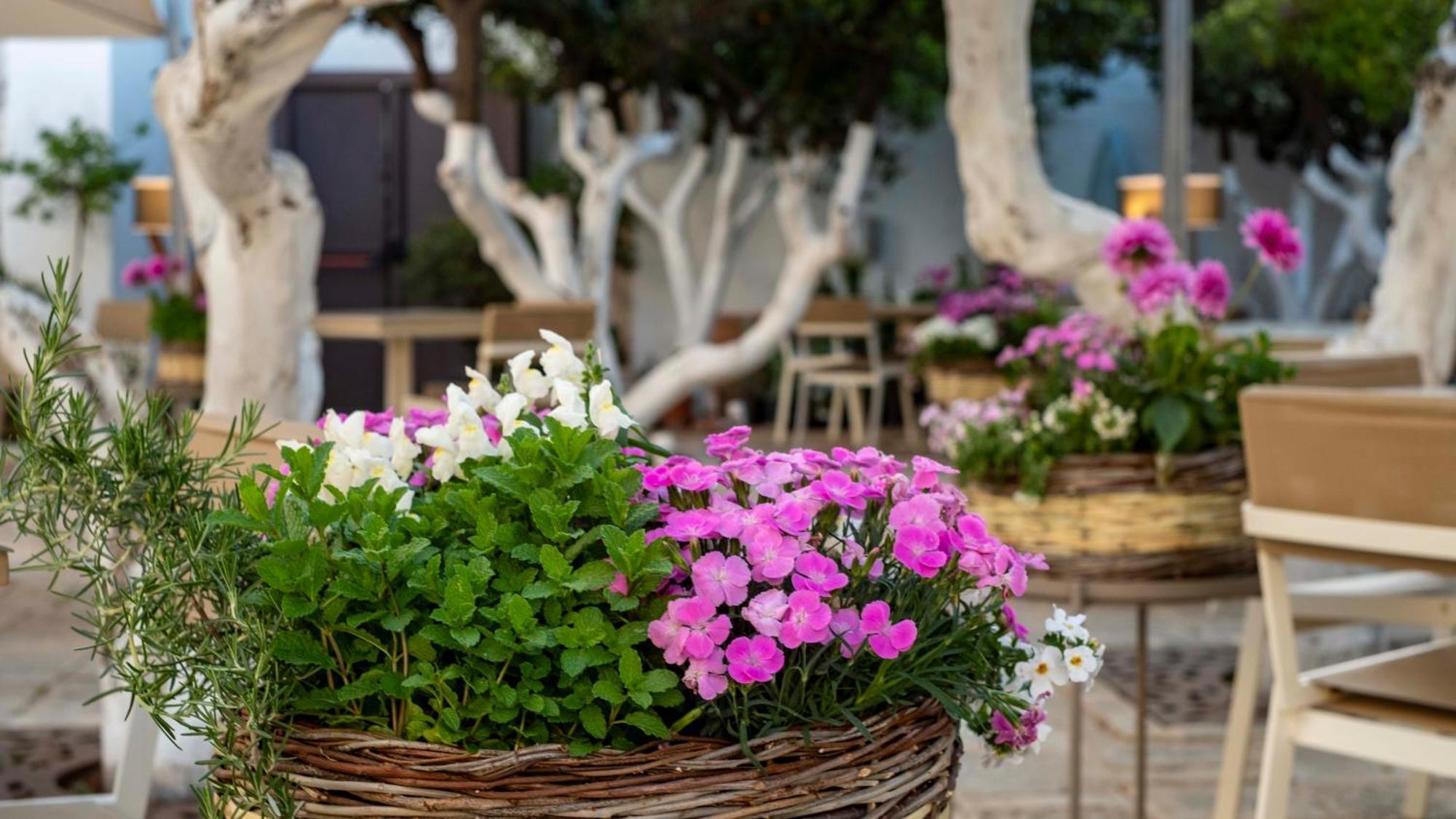 La Sommita Relais & Chateaux Ostuni Exteriér fotografie